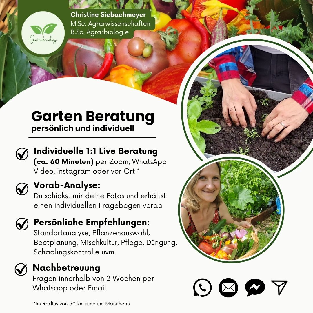 Garten Beratung