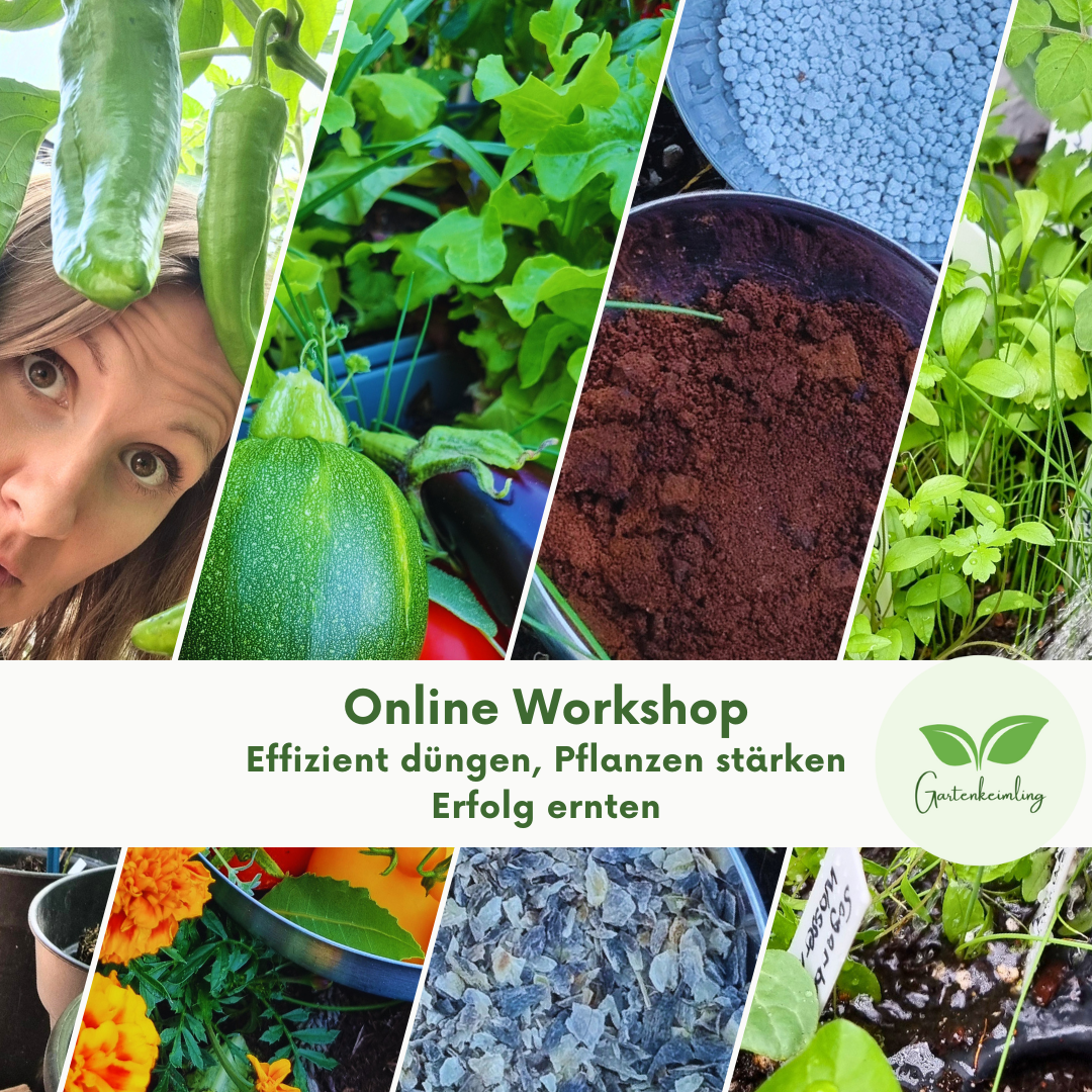 Online - Workshop: Effizient düngen, Pflanzen stärken