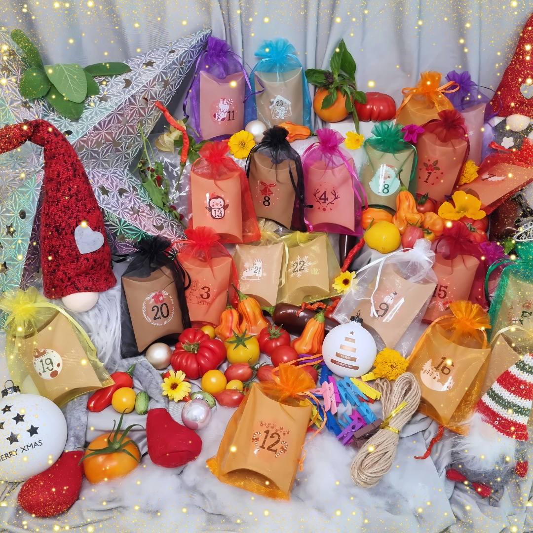 Adventskalender Familie