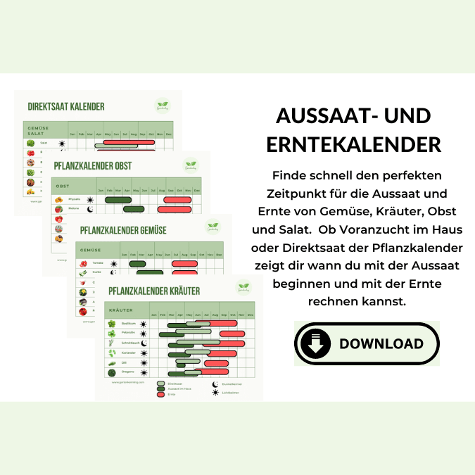 Aussaat- und Erntekalender
