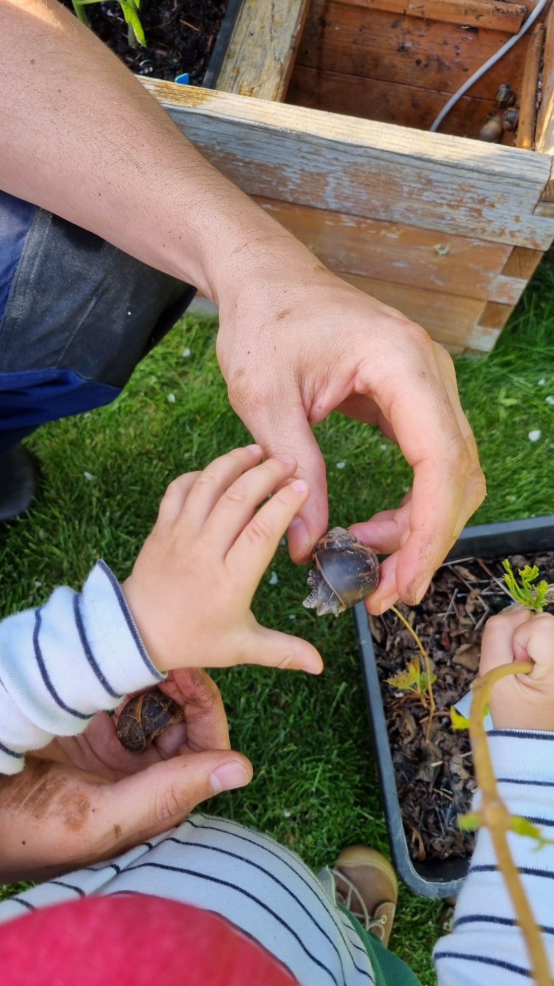 Kinder brauchen Dreck, warum Schmutz im Garten gut fürs Immunsystem ist