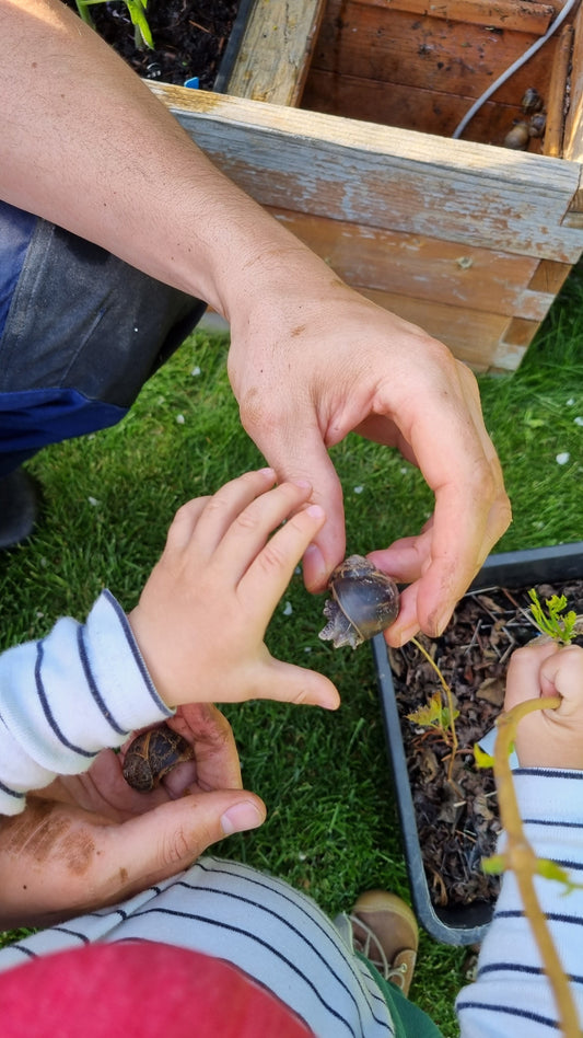 Kinder brauchen Dreck, warum Schmutz im Garten gut fürs Immunsystem ist