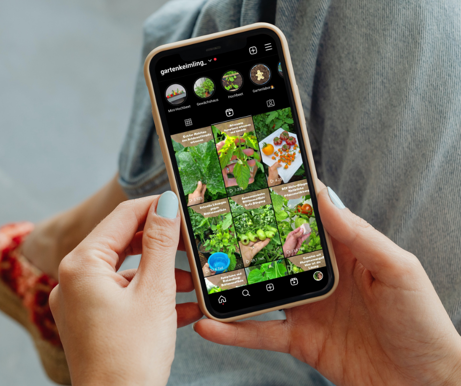 Eine Person sitzt mit übereinandergeschlagenen Beinen und einem Smartphone in der Hand auf einem Stuhl. Im Smartphone ist der Instagram Kanal von Gartenkeimling zu sehen. Hier sind viele hilfreiche Beratungsvideos für alle Fragen rund ums gärtnern zu sehen. 