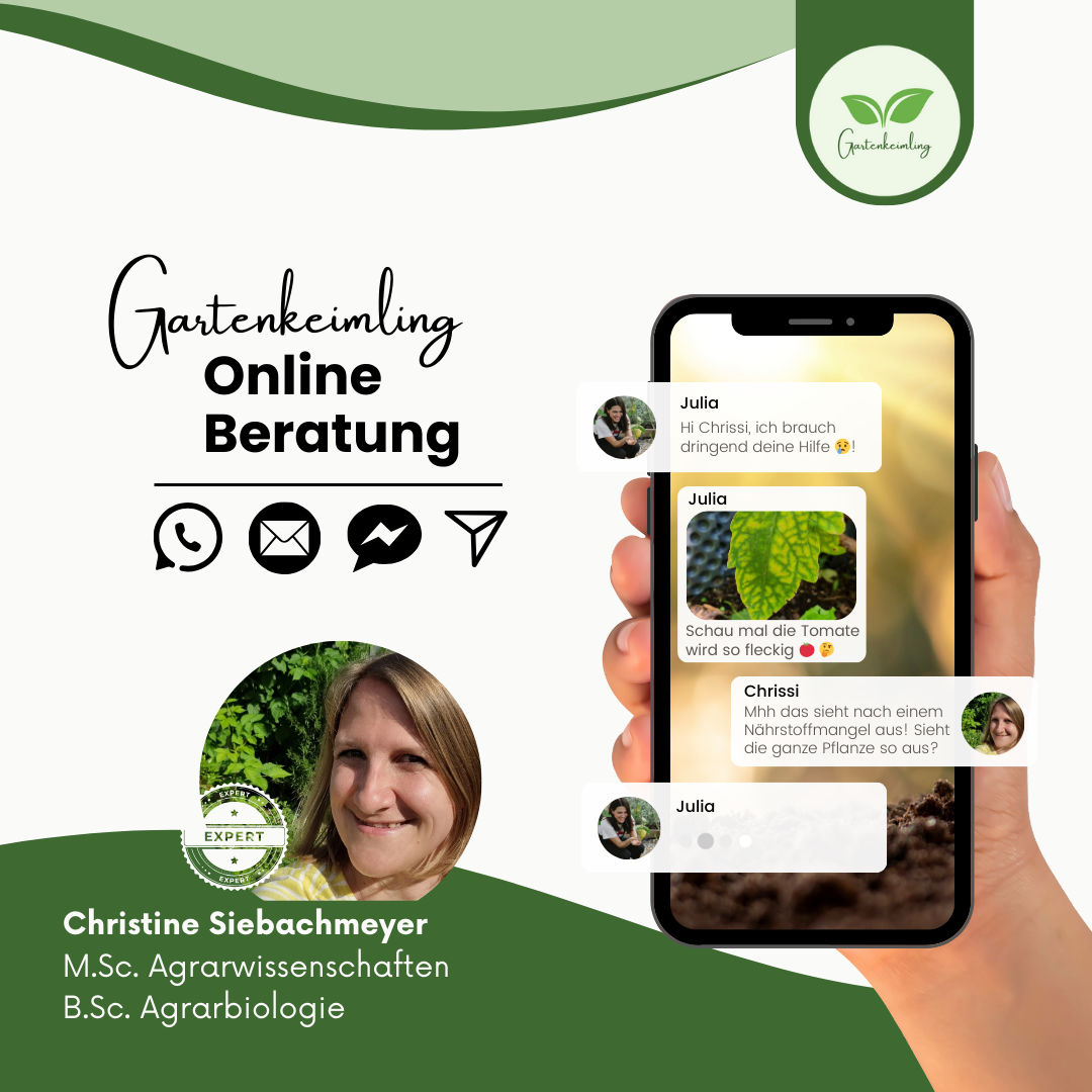 Gartenkeimling Online Beratung fürs gärtnern auf dem Balkon oder im eigenen Garten. Per Instagram, Chat, Email oder Whatsapp. Lerne von einer erfahrenen Agrarbiologin und Agrarwissenschaftlerin.