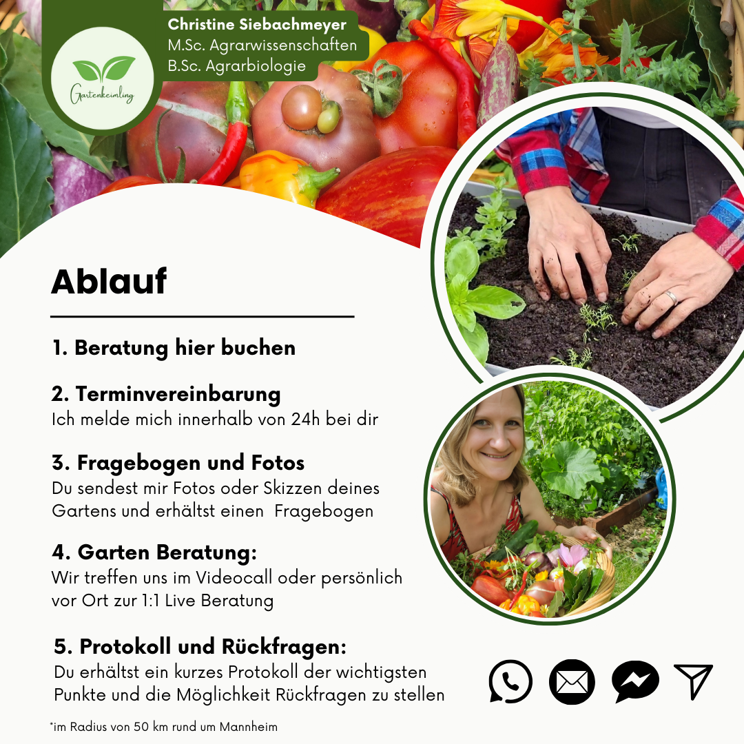 Gartenberatung Ablauf Fragebogen Individuelle beratung Gartenfotos Whatsapp Beratung Email beratung für Hobbygärtnerinnen