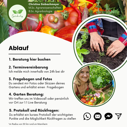 Gartenberatung Ablauf Fragebogen Individuelle beratung Gartenfotos Whatsapp Beratung Email beratung für Hobbygärtnerinnen