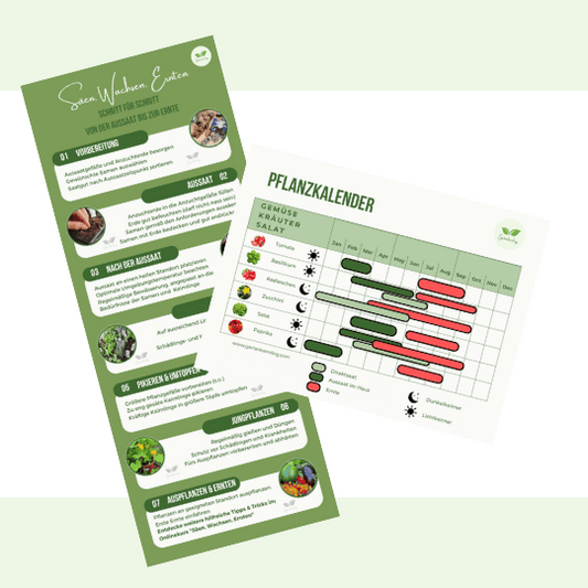 Chrckliste "Säen Wachsen Ernten" in 10 Schritten und Pflanzkalender mit Tomate, Basilikum, Paprika und Co