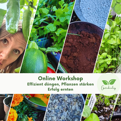 Online - Workshop: Effizient düngen, Pflanzen stärken - Erfolg ernten