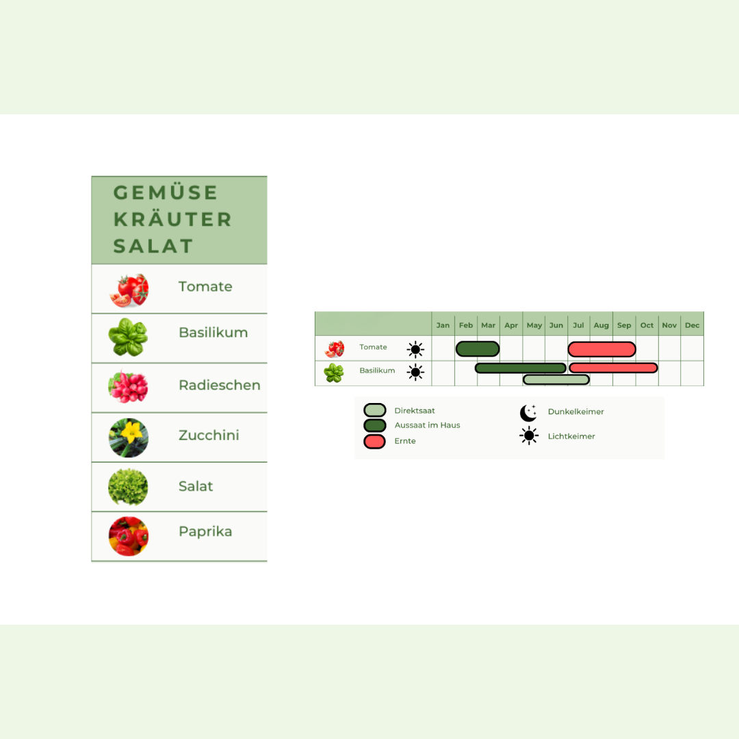 Pflanzkalender & Checkliste "Säen, Wachsen, Ernten"
