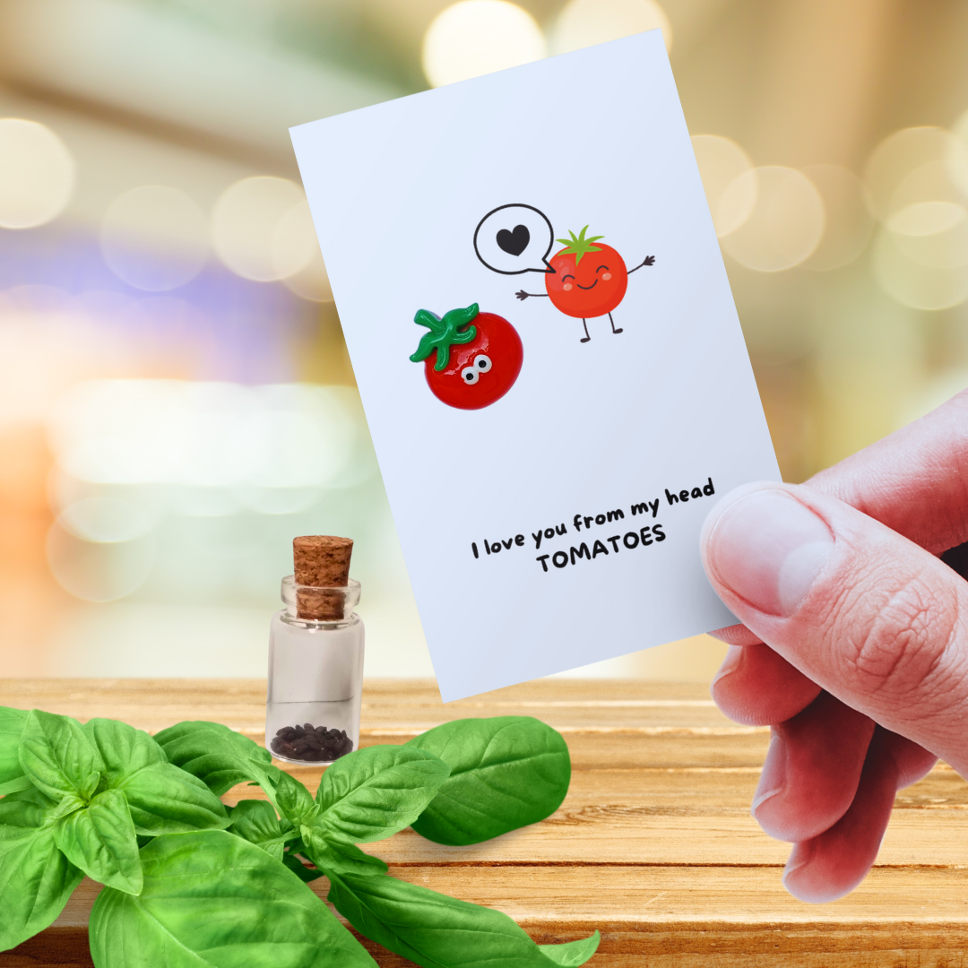 Pocket Hug Bundle (ohne Samen) - 5er Set mit 30% Erspanis