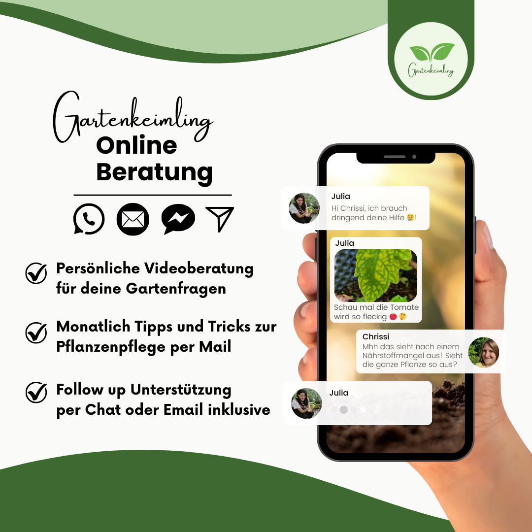 Gartenkeimling Online Beratung